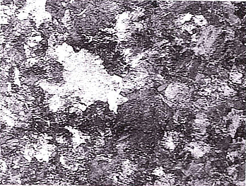Рис. 13. Микроструктура основного металла, х500.