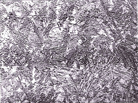 Рис. 14. Микроструктура наплавленного металла, х200. Рис. 14. Микроструктура наплавленного металла, х200.