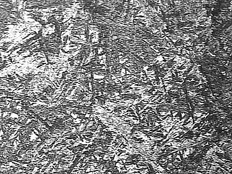 Рис. 6. Микроструктура околошовной зоны Рис. 6. Микроструктура околошовной зоны